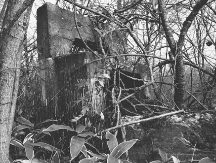 歴史写真館NO.18　仁多水力発電所遺構