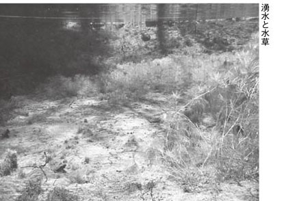 歴史写真館NO.116　恵みの水 郷土の自然12 ～阿寒国立公園指定80周年～